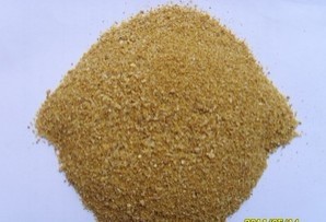 ���{������ѿ��